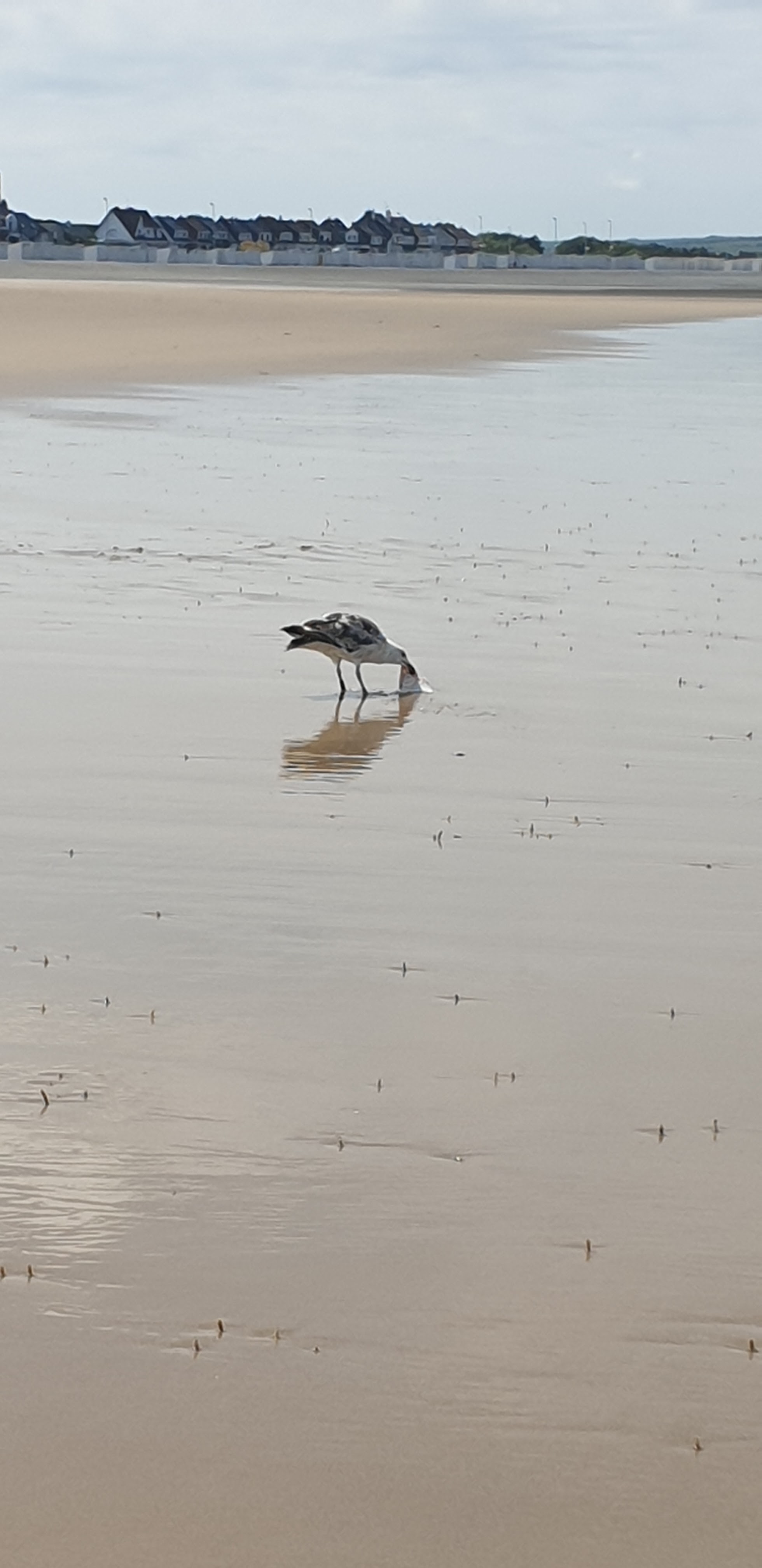 Photo n° 2 de l'avis de Melanie.e fait le 29/05/2019 à 12:06