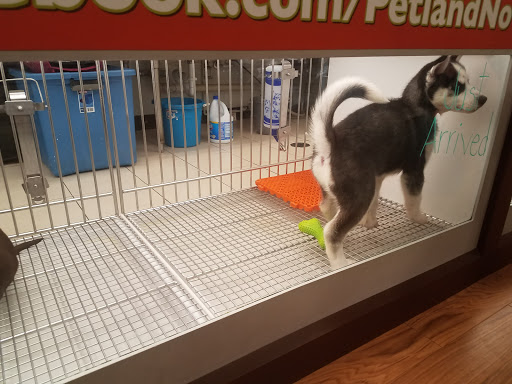 Pet Adoption Service «Petland Novi», reviews and photos, 27200 Novi Rd # A, Novi, MI 48377, USA