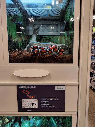 Pet Supply Store «PetSmart», reviews and photos, 47142 Michigan Ave, Canton, MI 48188, USA