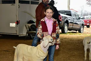Hunt County Livestock & Fair image
