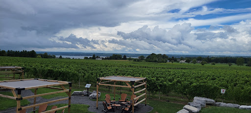 Winery «Three Brothers Wineries and Estates», reviews and photos, 623 Lerch Rd, Geneva, NY 14456, USA