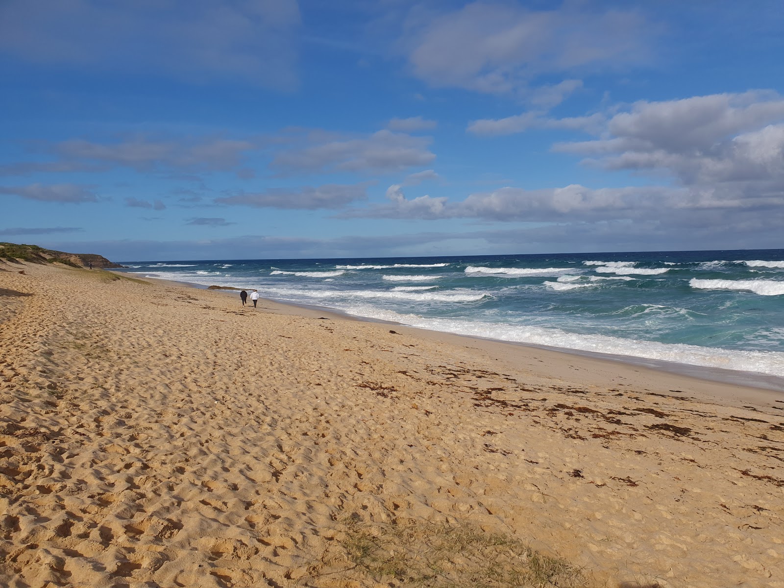 Photo de Number Sixteen Beach avec sable lumineux de surface