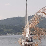 Photo n°4 de l'avis de grazianoscrittore.r fait le 01/05/2022 à 16:05 sur le  Bar La Marinella à Viverone