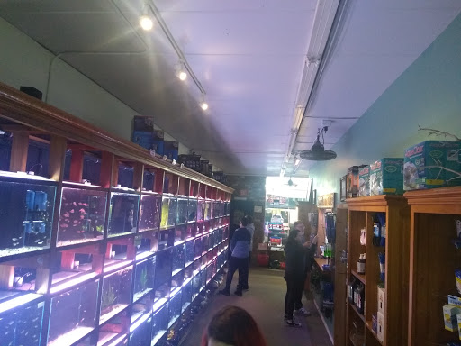 Tropical Fish Store «Aquarium Co-Op», reviews and photos, 9661 Firdale Ave, Edmonds, WA 98020, USA