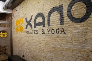 Xano Pilates & Yoga image