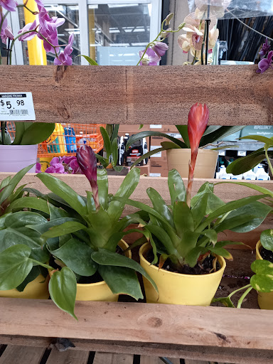 Home Improvement Store «The Home Depot», reviews and photos, 3730 Sun City Center Blvd, Ruskin, FL 33573, USA