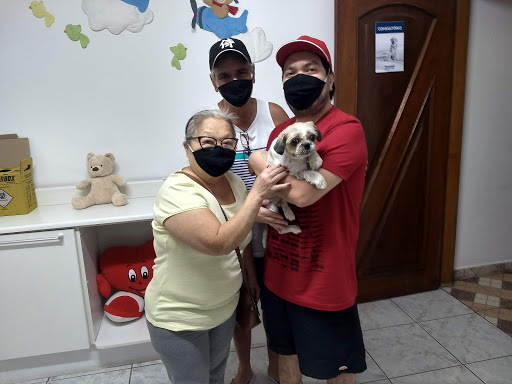 Suporte Pet Internação Veterinária em São Paulo - SP