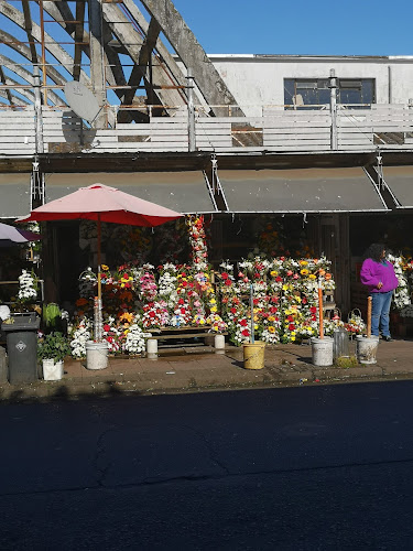 Envío Flores Concepción