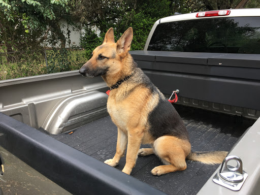 Used Car Dealer «Alamo Auto», reviews and photos, 1121 Basse Rd, San Antonio, TX 78212, USA