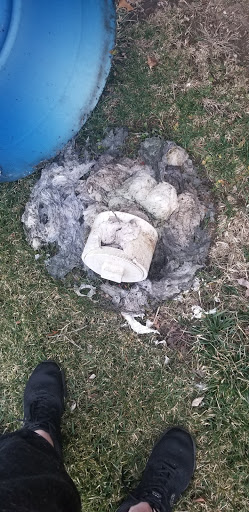 Plumber «Roto-Rooter Plumbing & Drain Service», reviews and photos, 1800 Landmeier Rd, Elk Grove Village, IL 60007, USA