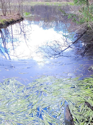 Nature Preserve «Beaver Meadow Audubon Center», reviews and photos, 1610 Welch Rd, Java Center, NY 14082, USA
