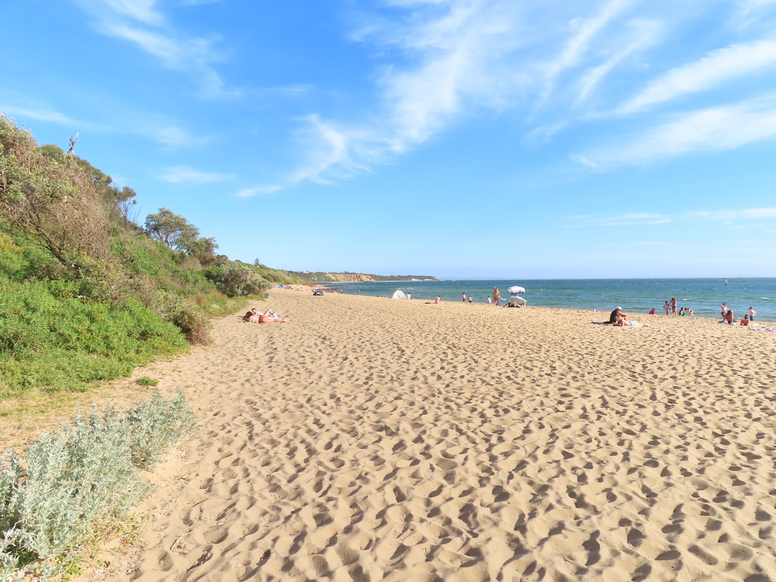 Sandringham Beach的照片 带有宽敞的海岸