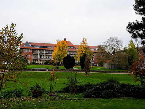 Private universities in Düsseldorf