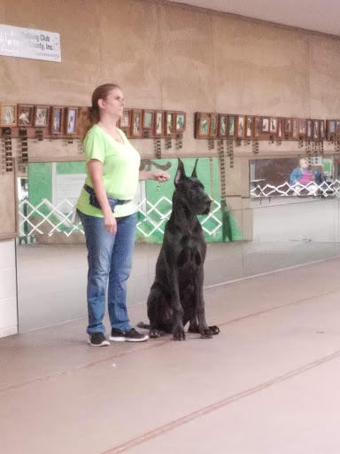 Dog Training Club of Dallas County