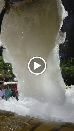 Park «Mills Pond Park», reviews and photos, 2201 Northwest 9th Avenue, Fort Lauderdale, FL 33311, USA