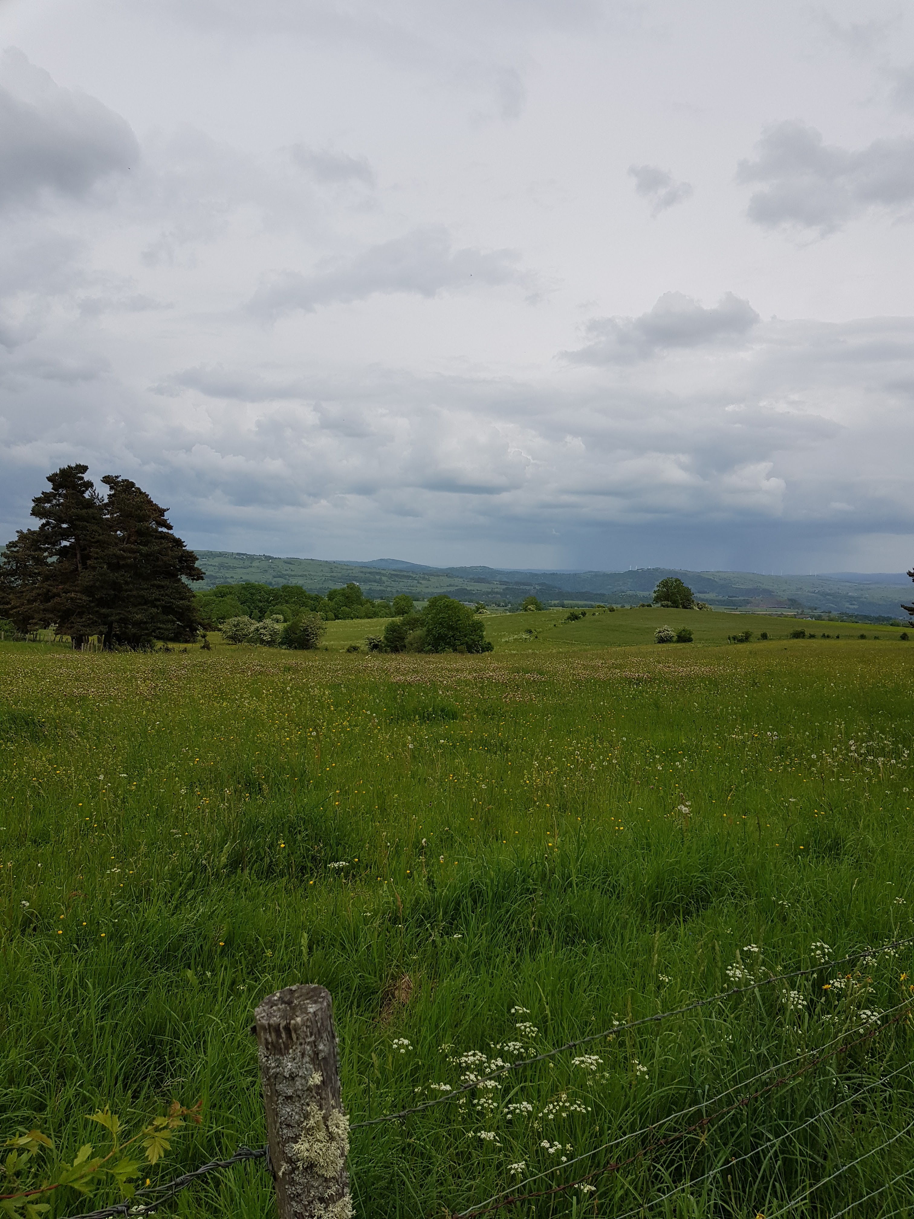 Photo n° 5 de l'avis de Marianne.u fait le 05/06/2018 à 07:16