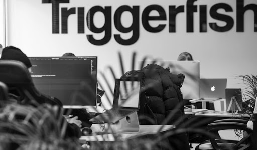 Triggerfish Web agency Stockholm