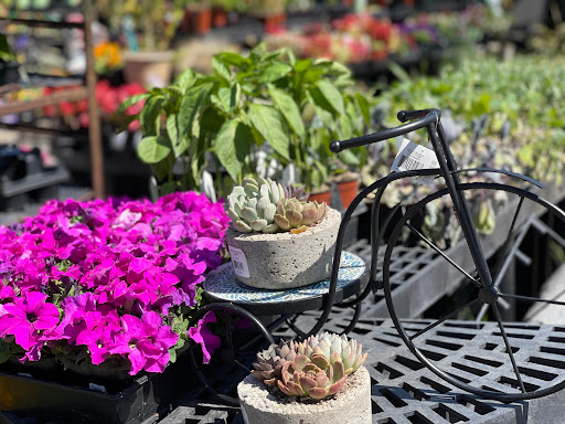 Hardware Store «Laurel Ace Hardware», reviews and photos, 4024 MacArthur Blvd, Oakland, CA 94619, USA