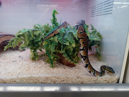 Pet Supply Store «Pet Supplies Plus», reviews and photos, 2927 Riley Fuzzel Rd #400, Spring, TX 77386, USA