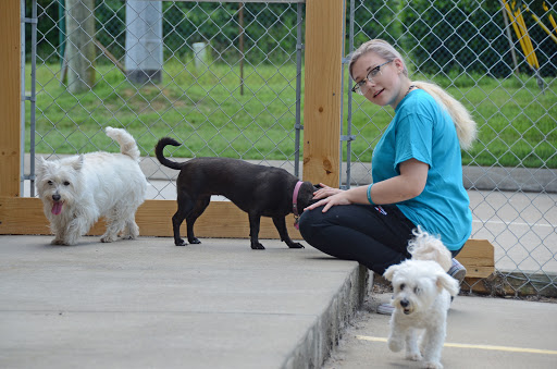 Pet Boarding Service «Pet Palace», reviews and photos, 2803 Trough Springs Rd, Clarksville, TN 37043, USA