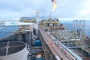 Nigerian Agip Oil Company image