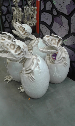 Home Improvement Store «The Home Depot», reviews and photos, 500 S Interstate 35 East Service Rd, Lancaster, TX 75146, USA