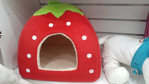 Pet Store «South Beach Pet Shop», reviews and photos, 634 6th St, Miami Beach, FL 33139, USA