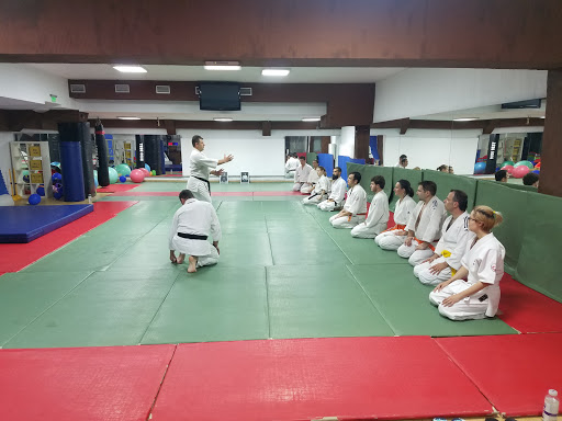Academia Aiki Seishin Ryu - București