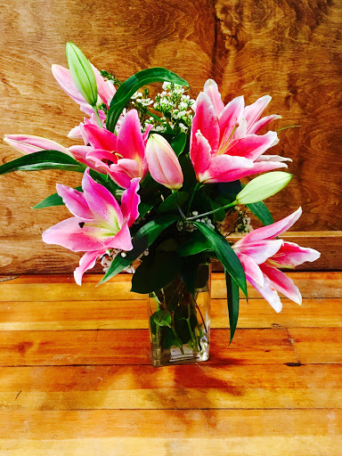 Florist «HOLBROW FLOWERS IN BOSTON INC», reviews and photos, 60 Billings Rd, North Quincy, MA 02171, USA
