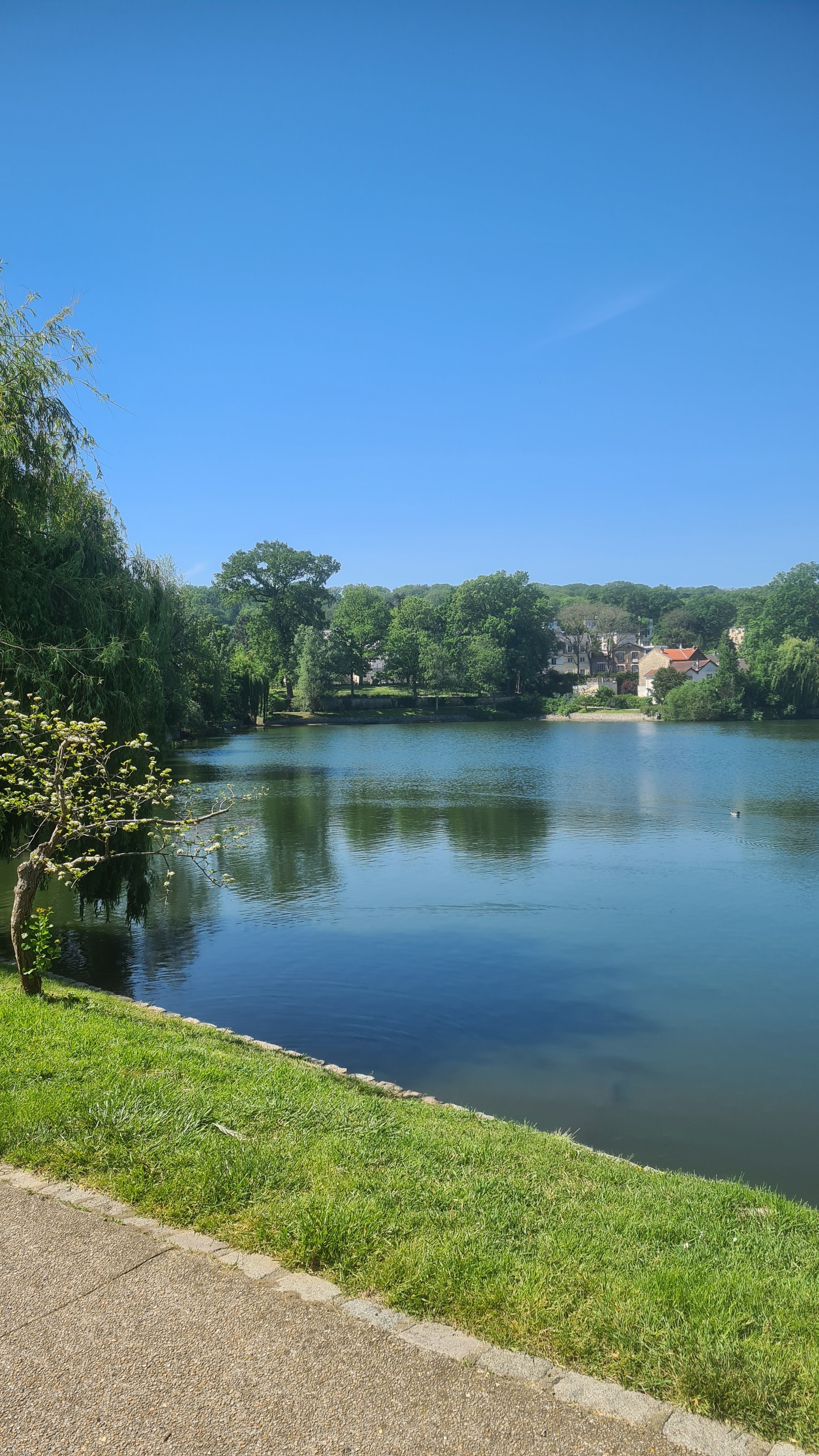 Photo n° 1 de l'avis de Florence.u fait le 22/05/2023 à 15:30