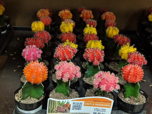 Home Improvement Store «The Home Depot», reviews and photos, 5101 Jonestown Rd, Harrisburg, PA 17112, USA