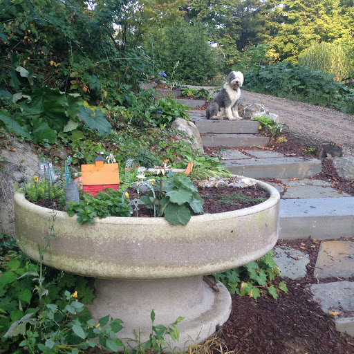 Gift Shop «Pondering Creations Farm», reviews and photos, 101 Allen St, Terryville, CT 06786, USA