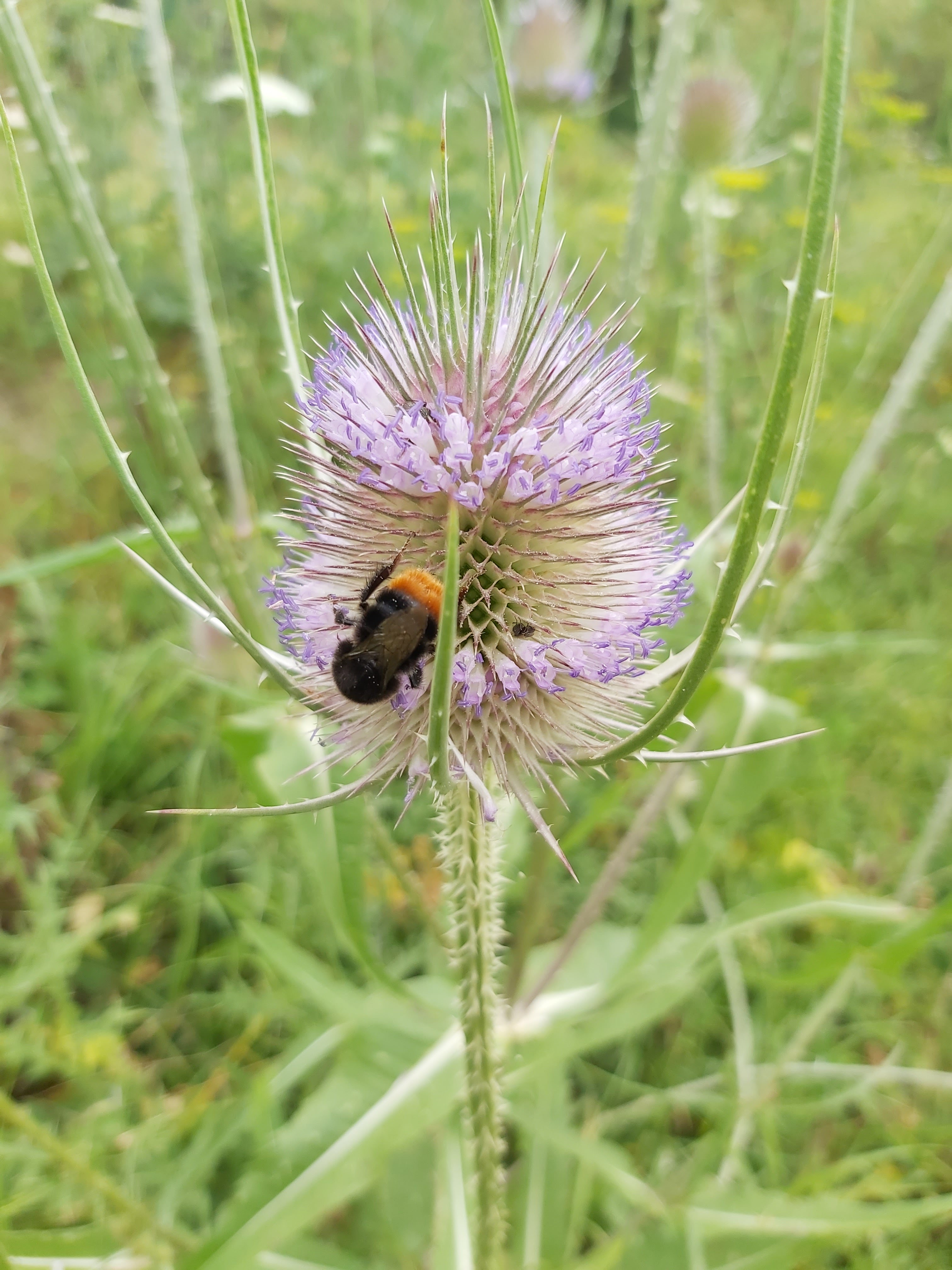 Photo n° 2 de l'avis de marlene.a fait le 26/07/2020 à 20:55