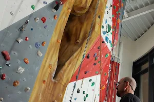 Wyre Forest Climbing Wall image