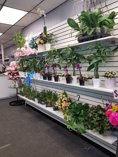 Florist «Park Floral Company», reviews and photos, 1055 Morris Park Ave, Bronx, NY 10461, USA