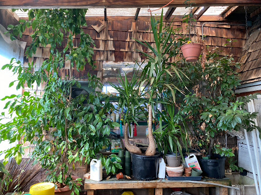 Florist «Butler Florist & Garden Center», reviews and photos, 416 Park Rd, West Hartford, CT 06119, USA