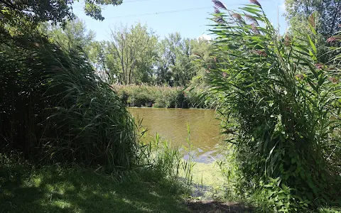 Parc de la rivière Saint-Jacques à Brossard image