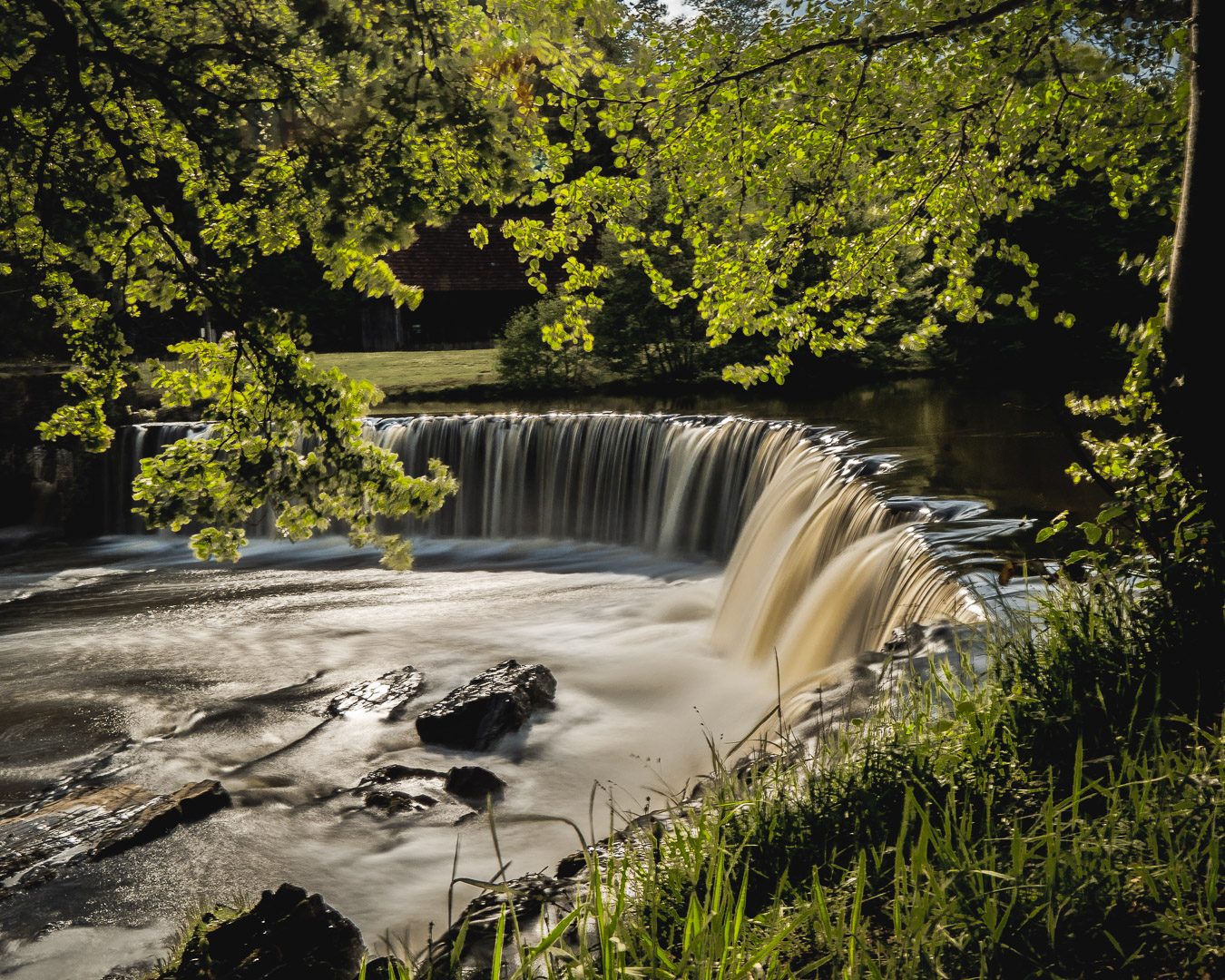 Photo n° 15 de l'avis de sacha. fait le 09/08/2021 à 09:08
