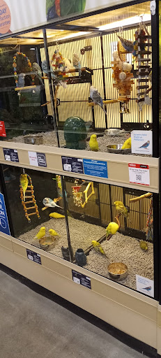 Pet Supply Store «PetSmart», reviews and photos, 1285 Johnson Ferry Rd, Marietta, GA 30068, USA