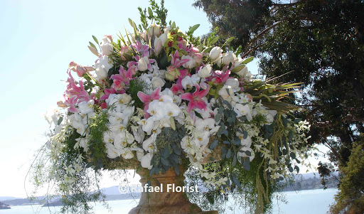 Florist «Rafael Florist», reviews and photos, 891 4th St, San Rafael, CA 94901, USA