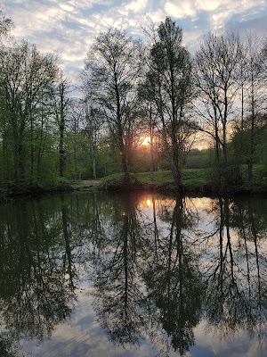 Forêt Régionale de Ferrières à Pontcarré