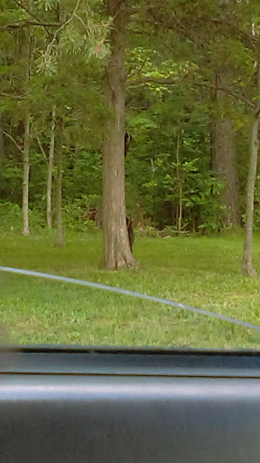 Nature Preserve «DeVries Nature Conservancy», reviews and photos, 2635 N Michigan 52, Owosso, MI 48867, USA