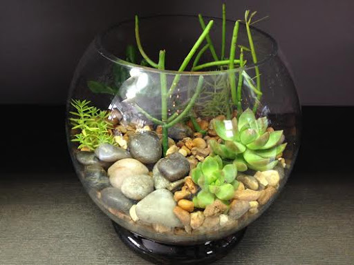 Florist «La Fleur Florals and Events», reviews and photos, 2047 Wilton Dr, Wilton Manors, FL 33305, USA