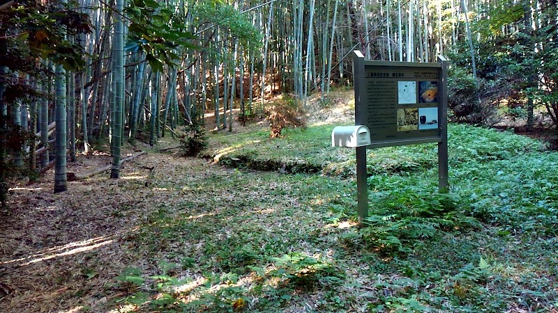 縄生廃寺