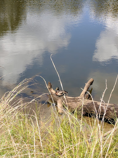 Park «Bowie Nature Park», reviews and photos, 7211 Bowie Lake Rd, Fairview, TN 37062, USA