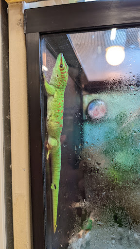 Pet Supply Store «PetSmart», reviews and photos, 198 Promenade Blvd, Flowood, MS 39232, USA