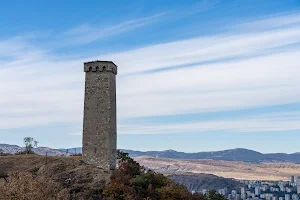 Svan Tower image