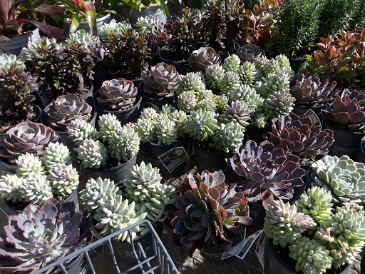 Home Improvement Store «The Home Depot», reviews and photos, 1524 E Brandon Blvd, Brandon, FL 33511, USA