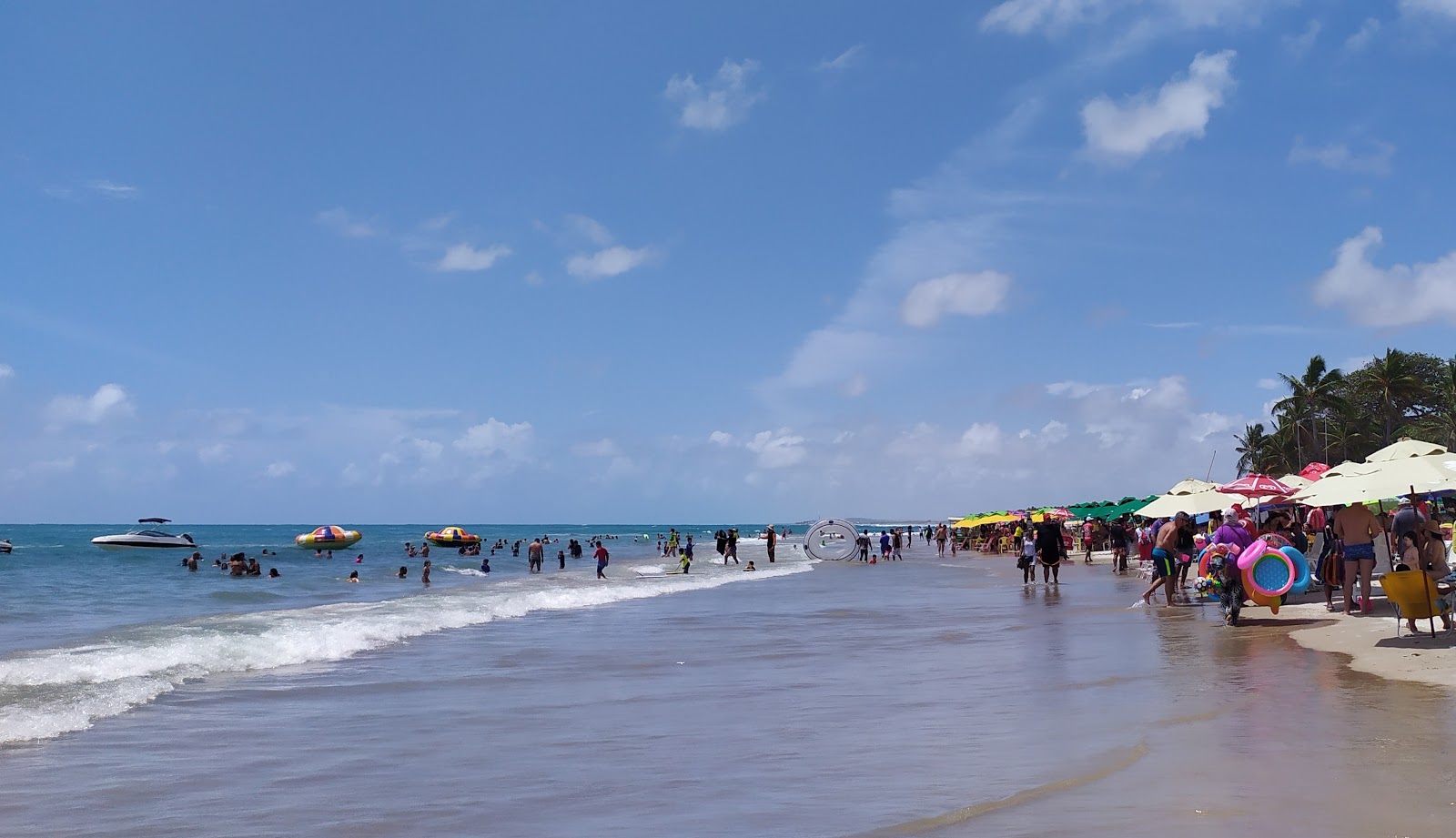 Foto af Praia Ponta Do Papagaio bakket op af klipperne