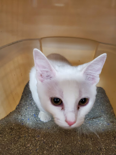 Pet Supply Store «Pet Supermarket», reviews and photos, 1629 Perry Hill Rd, Montgomery, AL 36106, USA